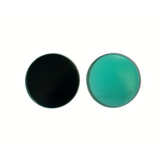 10X80 Phthalo Green Pigment
